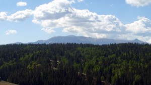 22_view