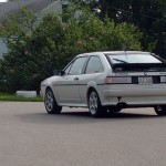 07_daunscar