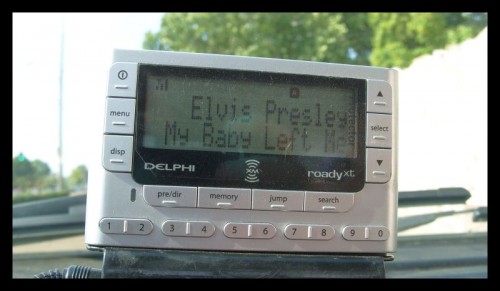 64_tn_elvis