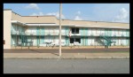 71_tn_mlk1