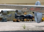 102_az_pimapics