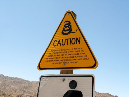 13_ca_rattlesnakes