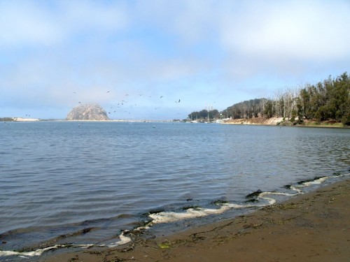 14_ca_morrobay3