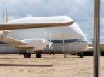 155_az_pimapics