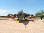 181_az_pimapics