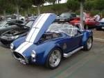 21_ca_cobra