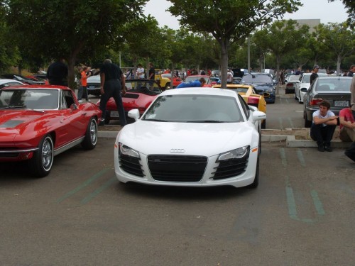 29_ca_anotherr8