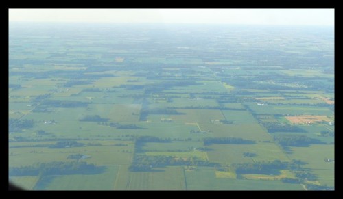 37_oh_fields