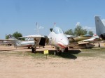 79_az_pimapics