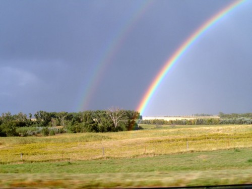 14_sd_rainbow