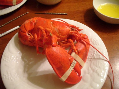 20_me_cooked