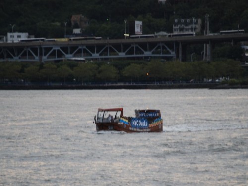 32b_ny_duck