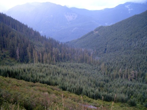 38_wa_view