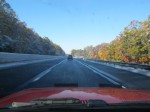 10-30-11_PA_leaves1