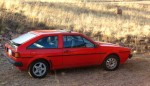 11-01-11_deercar