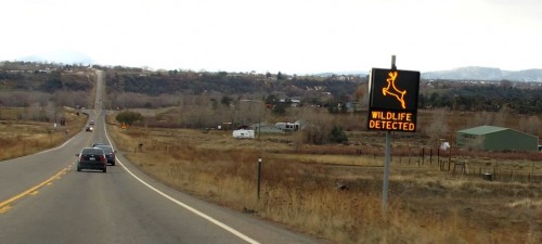 Wildlife Detection Area