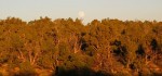 11-09-11_MesaVerde_21_moon