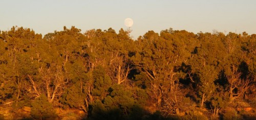 11-09-11_MesaVerde_21_moon