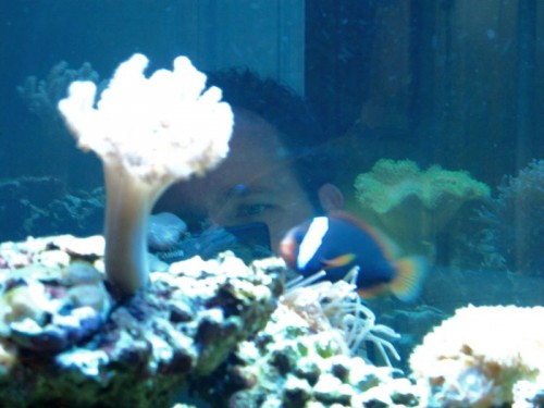 Scirocco Joe taking pictures of fish