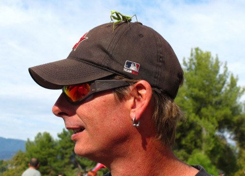 11-13-11_bonelli_12_mantis