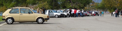 11-13-11_bonelli_14_rabbitrow