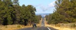 11-14-11_GrandCanyon_04_roadtoGC