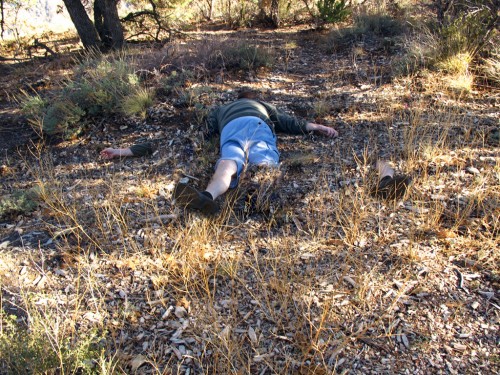11-14-11_GrandCanyon_34_dead